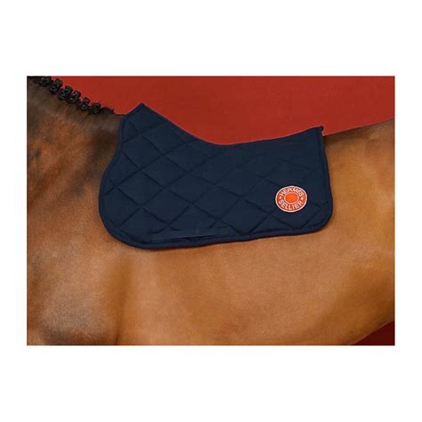 tapis hermes cheval|Tapis de selle mixte Hermès Derby.